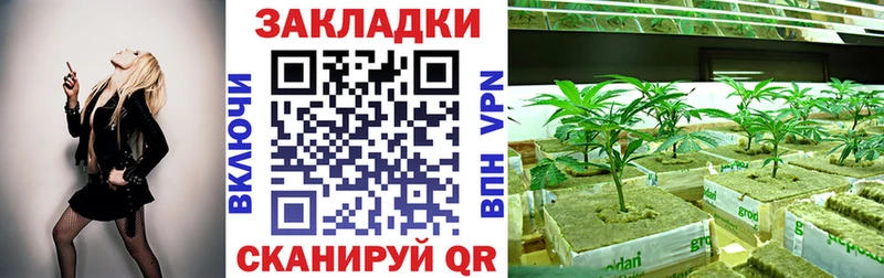 Виды наркоты Верхняя Пышма Марихуана  СК  ГАШИШ  COCAIN 