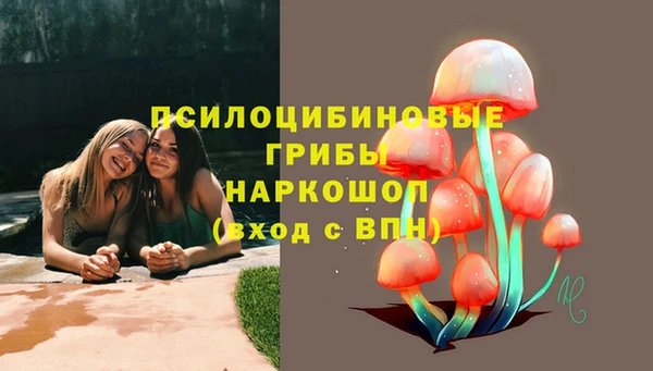 круглые Бронницы