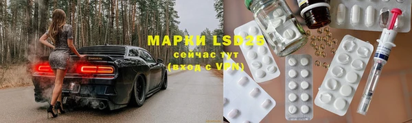 индика Богданович