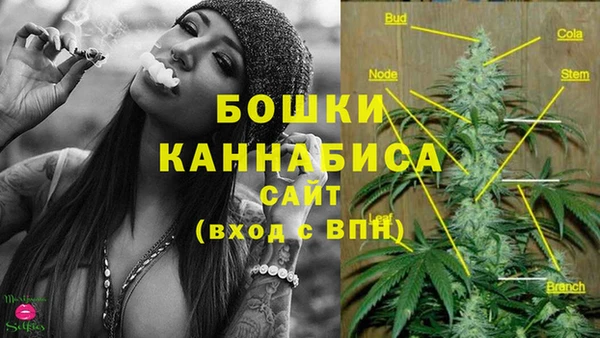 гидра Богородицк