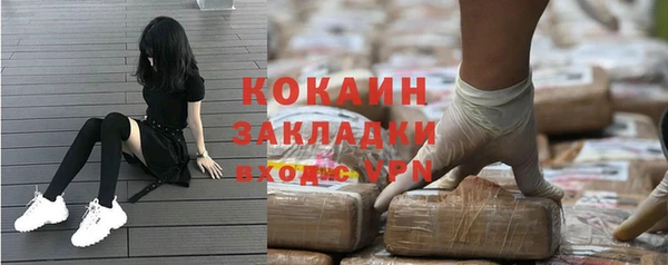 индика Богданович