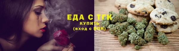 индика Богданович