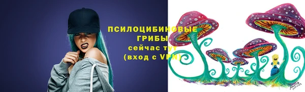 амф Богородск