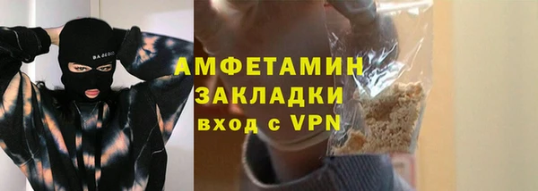 гидра Богородицк