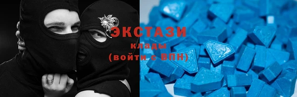 индика Богданович