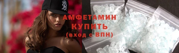 гидра Богородицк