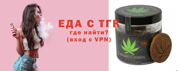индика Богданович