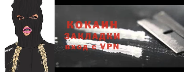 индика Богданович