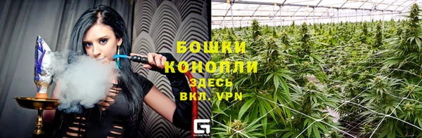 прущие крисы Бородино