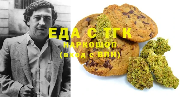 индика Богданович