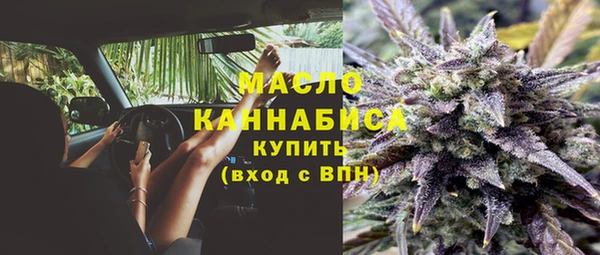 индика Богданович