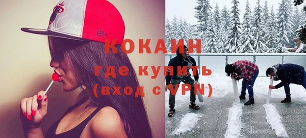 гидра Богородицк