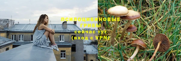 гидра Богородицк