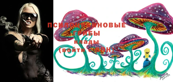ПСИЛОЦИБИНОВЫЕ ГРИБЫ Белая Калитва
