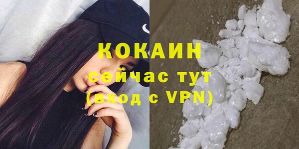 гидра Богородицк