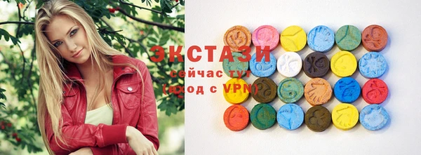 индика Богданович
