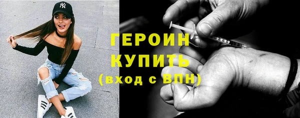 гидра Богородицк