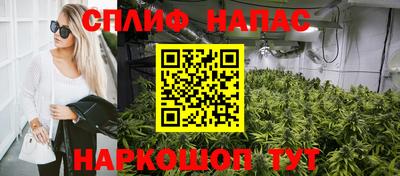 тгк Бийск