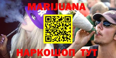 тгк Бийск