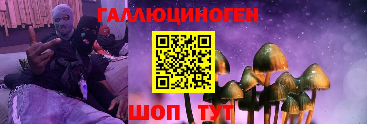 Верхняя Пышма  Галлюциногенные грибы Magic Shrooms  Псилоцибиновые грибы мицелий  Вход с VPN 