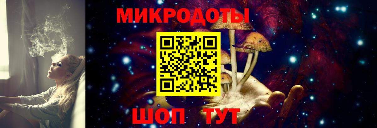 Галлюциногенные грибы мухоморы Верхняя Пышма