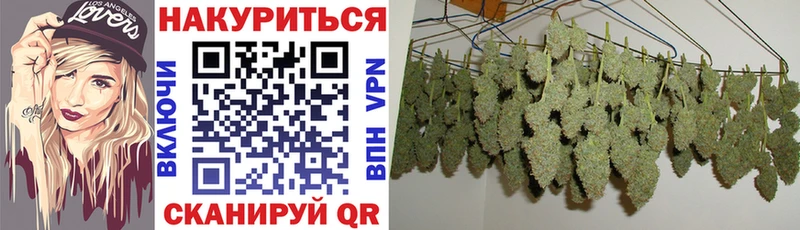 как найти наркотики  Верхняя Пышма  Канабис план 